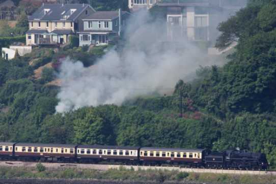 07 June 2023 - 15:51:51

-----------------------
Kingswear railway trackside fire